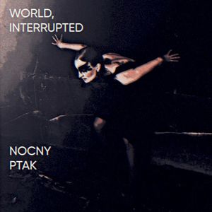Nocny Ptak (Single)