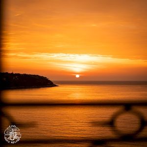 Over the Fence (Single)