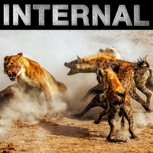 Primal State (EP)