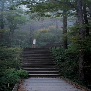 Lost (Single)