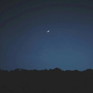 Summer Nights (Single)