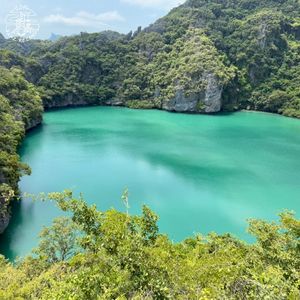 Blue Lagoon (Single)