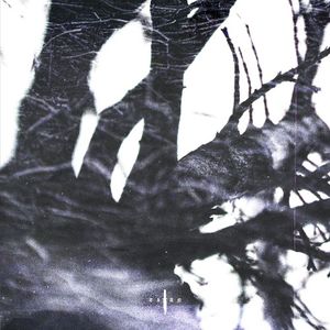 NUMB (Single)