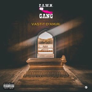 VASTiT D'AMiRi (Single)