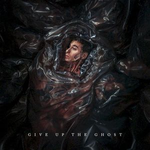 Give Up The Ghost