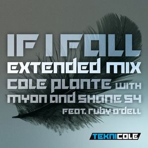 If I Fall (Extended Mix) (Single)