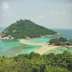 Dreaming of the Ocean (Single)