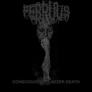 Consciousness After Death (Single)