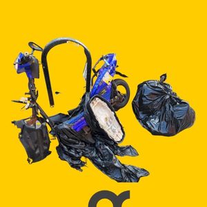 223 Pounds Of Sugar Poured Directly On An Anthill (Single)