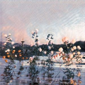 泡沫の夢は幻に (EP)