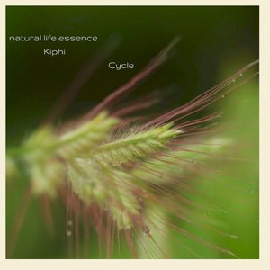 Cycle