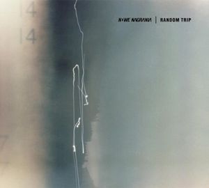Random Trip