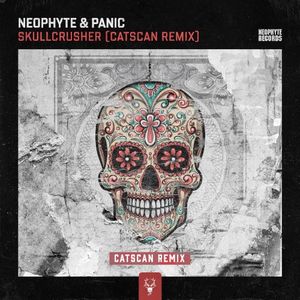 Skullcrusher (Catscan remix)