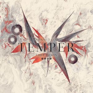Temper (Chee remix)