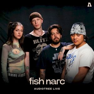 fish narc on Audiotree Live (Live)