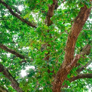 Atgofion (Single)