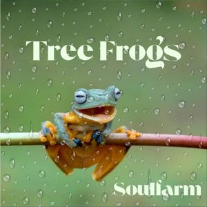 Tree Frogs (Single)