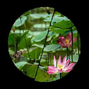 Interject (Single)
