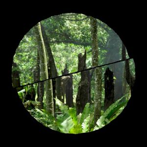 The Hawthorne Effect (Single)