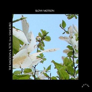 Slow Motion (Single)