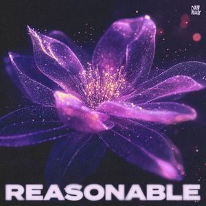 Reasonable (Single)