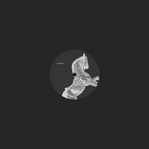 Anatomia Del Cavallo (EP)