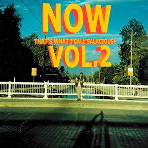 Now That's What I Call Salacious! Vol. 2