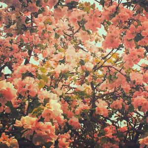 When Everything Was Mine / Rrotor (Single)