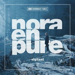 Vigilant (extended mix)