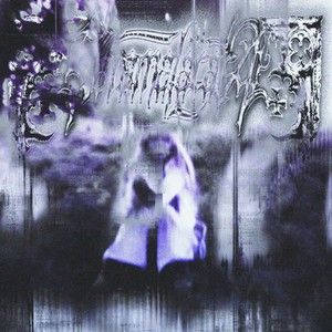 flash gate (Single)