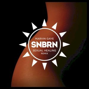 Sexual Healing (SNBRN Radio Remix)