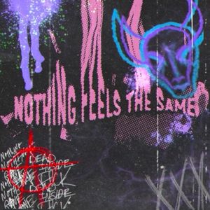 Nothing Feels The Same (Single)