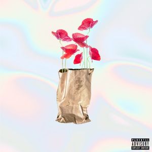 Brown Paper Bag (Maxi) (EP)