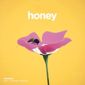 Honey (Single)