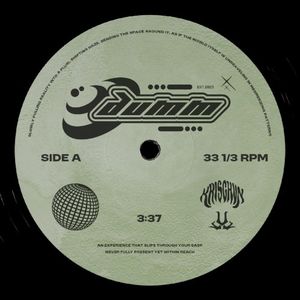 dumm (Single)
