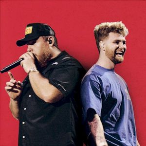 Ordinary - Live from Lollapalooza (Single)