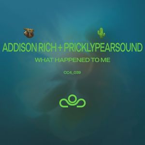 What Happened to Me (Single)