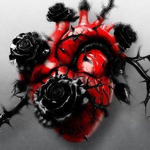 Замкнені криві (Single)