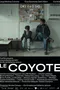 Le Coyote
