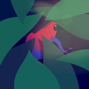 Cache cache (Single)