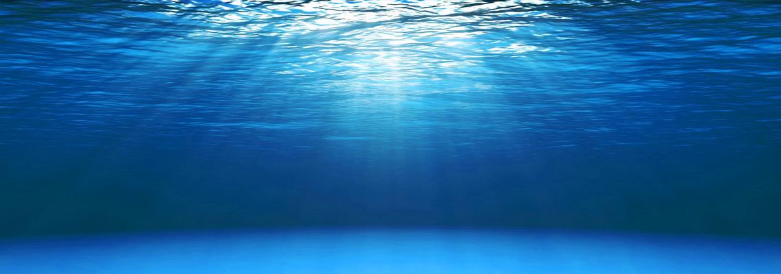 Cover Virtual Aquarium