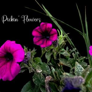 Pickin’ Flowers (Single)