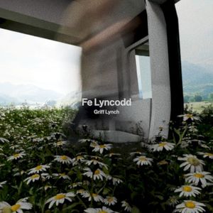 Fe Lyncodd (Single)