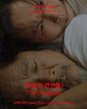 The Burglars