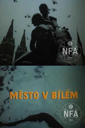 Mesto v bílém