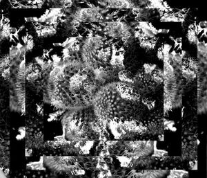 Thorn Flux (Single)