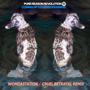 Cruel Betrayal (Wondastation Remix)