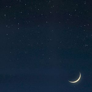 Sleep Romance (Single)