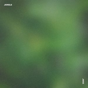 Jungle (Single)