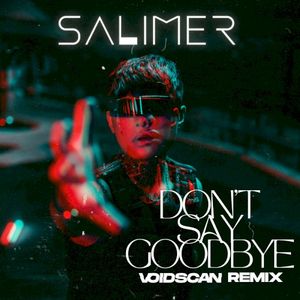Don't Say Goodbye (Voidscan Remix)